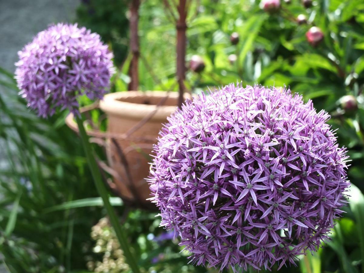 Ferienhaus In Der Schlipfing Mit Garten อัลท์มุนสเตอร์ ภายนอก รูปภาพ
