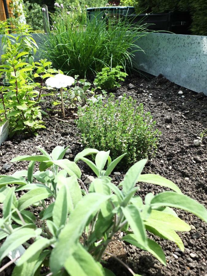 Ferienhaus In Der Schlipfing Mit Garten อัลท์มุนสเตอร์ ภายนอก รูปภาพ