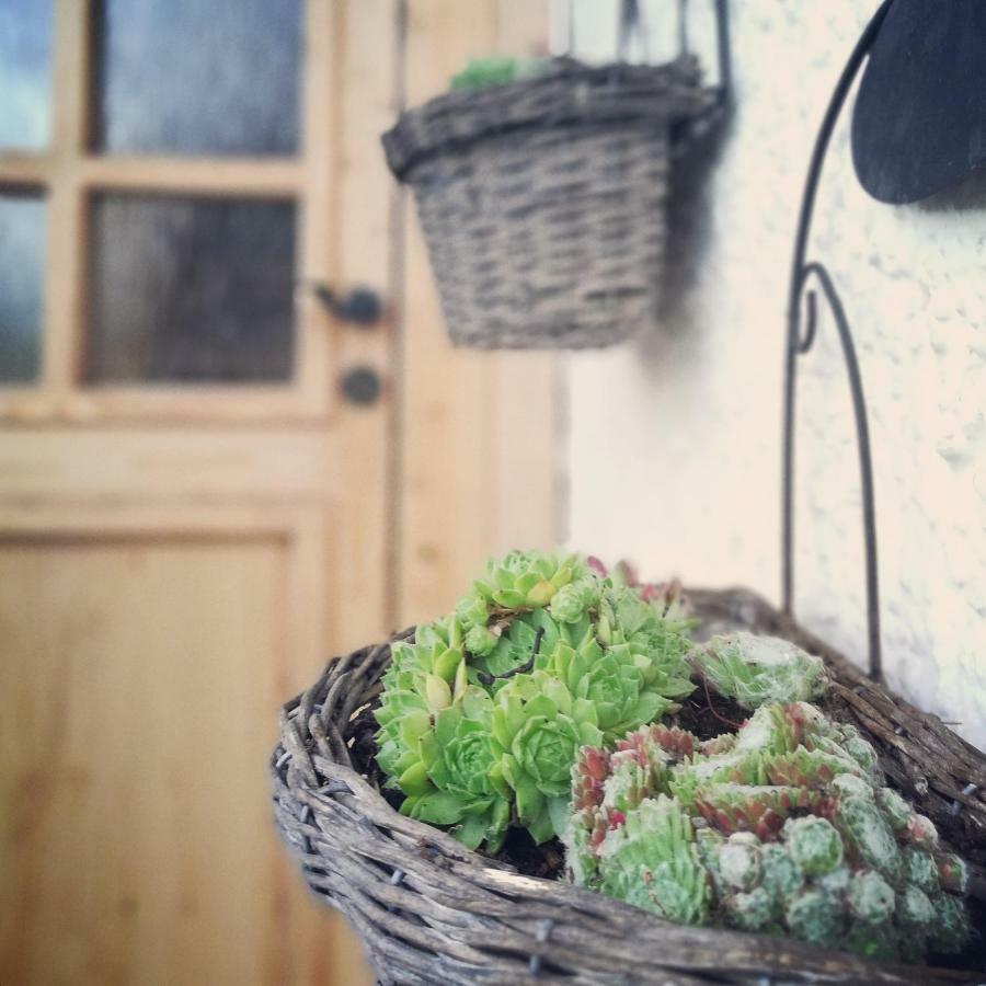 Ferienhaus In Der Schlipfing Mit Garten อัลท์มุนสเตอร์ ภายนอก รูปภาพ
