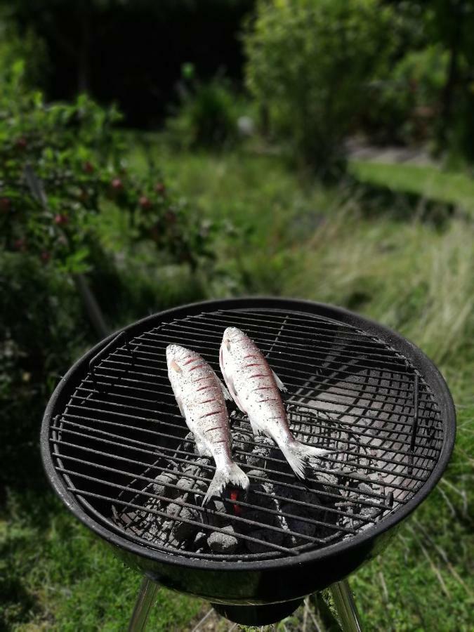 Ferienhaus In Der Schlipfing Mit Garten อัลท์มุนสเตอร์ ภายนอก รูปภาพ