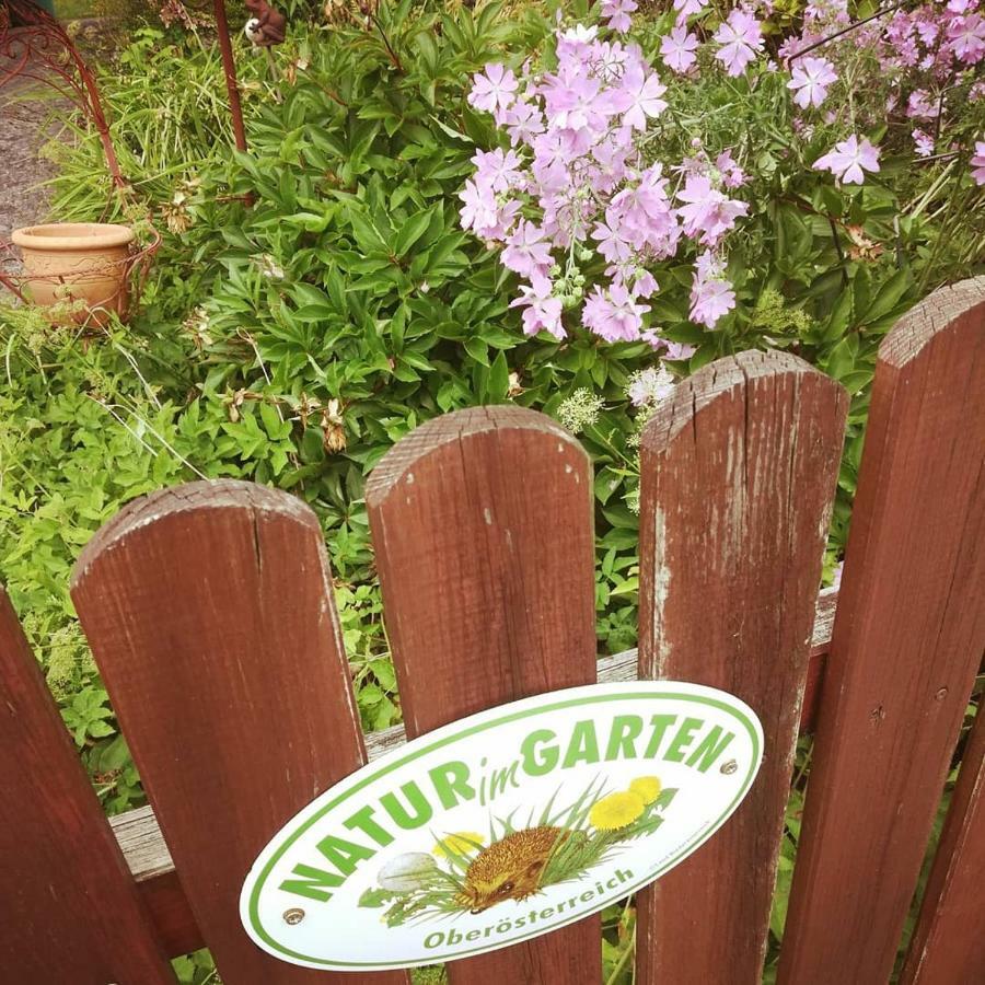 Ferienhaus In Der Schlipfing Mit Garten อัลท์มุนสเตอร์ ภายนอก รูปภาพ
